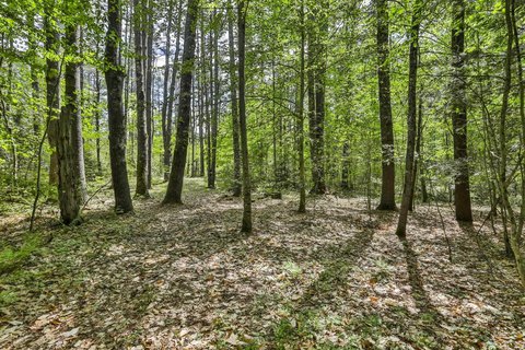 LAND - Amherst, NH