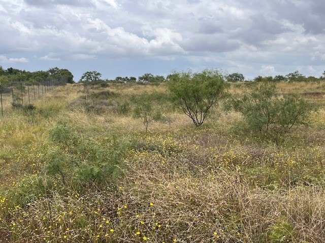 Picture 12