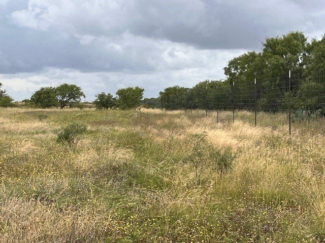 Picture 18