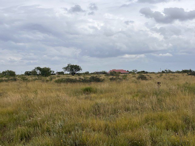Picture 14