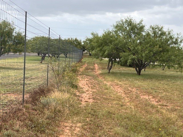 Picture 8