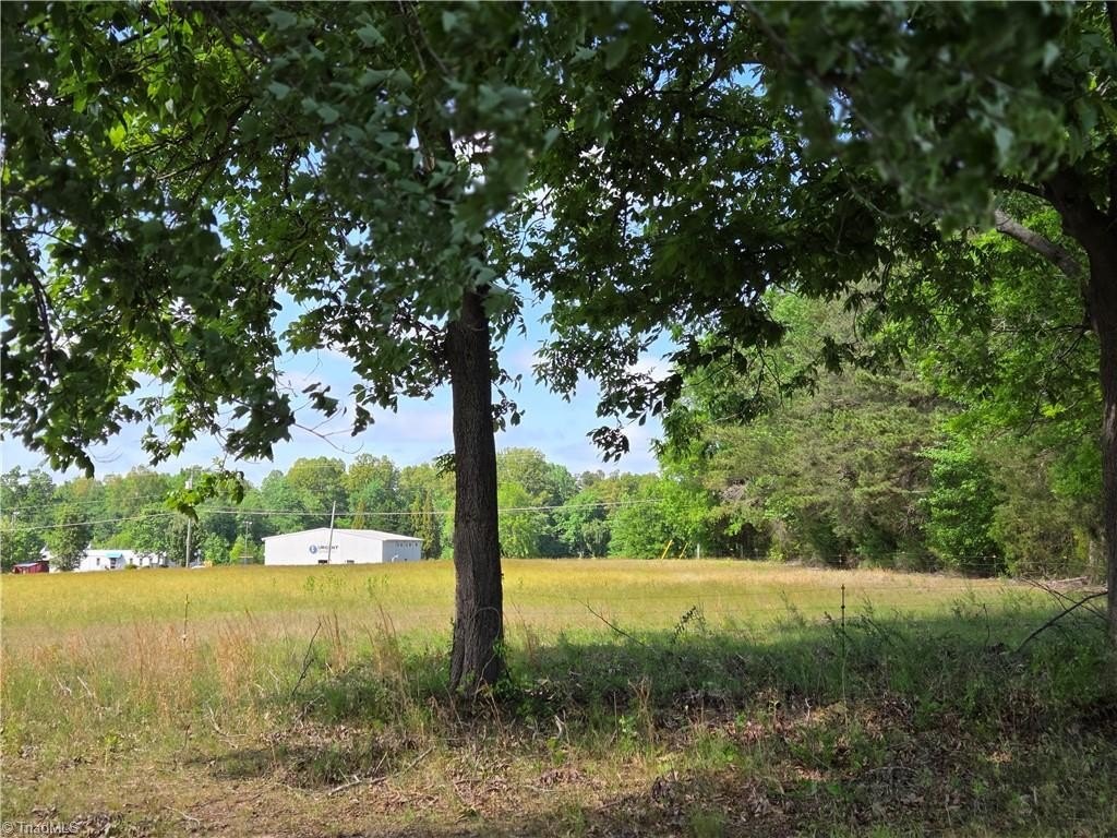 Picture 8