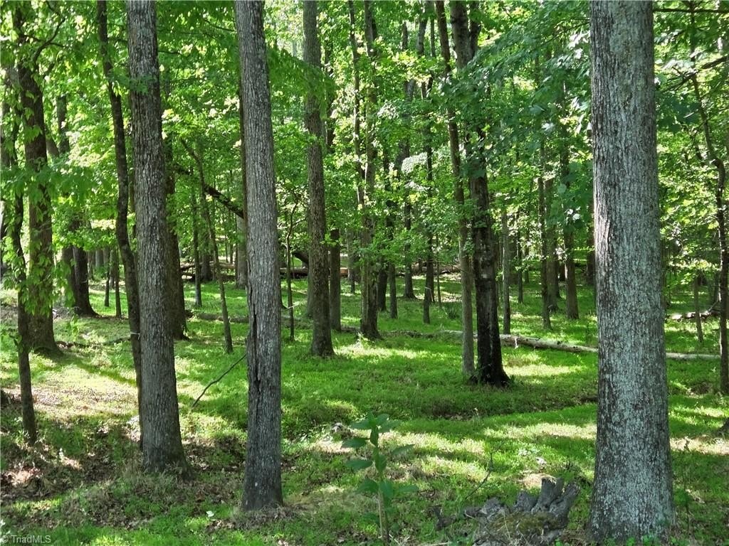 Picture 26