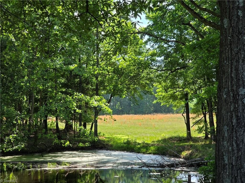 Picture 25
