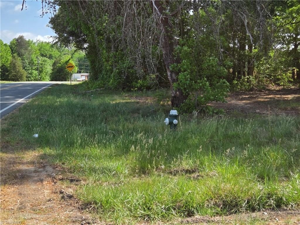 Picture 16