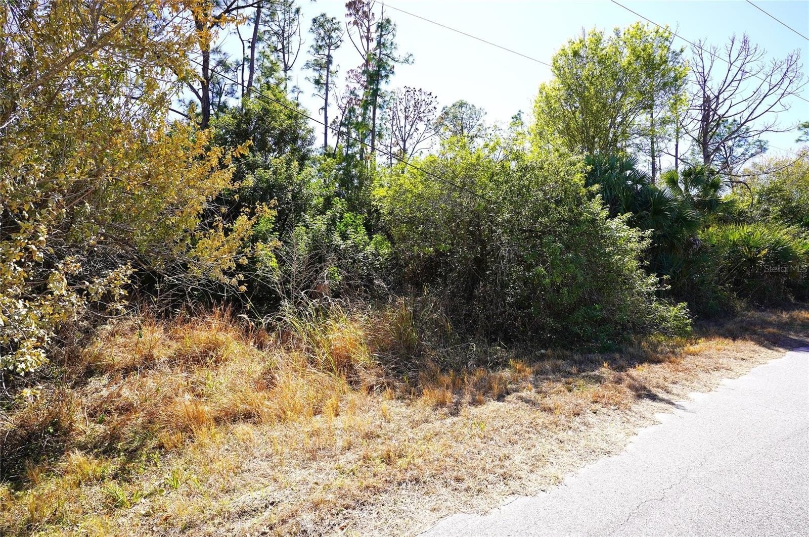 Oversized Lot in North Port
