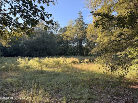 Land, Summit, MS