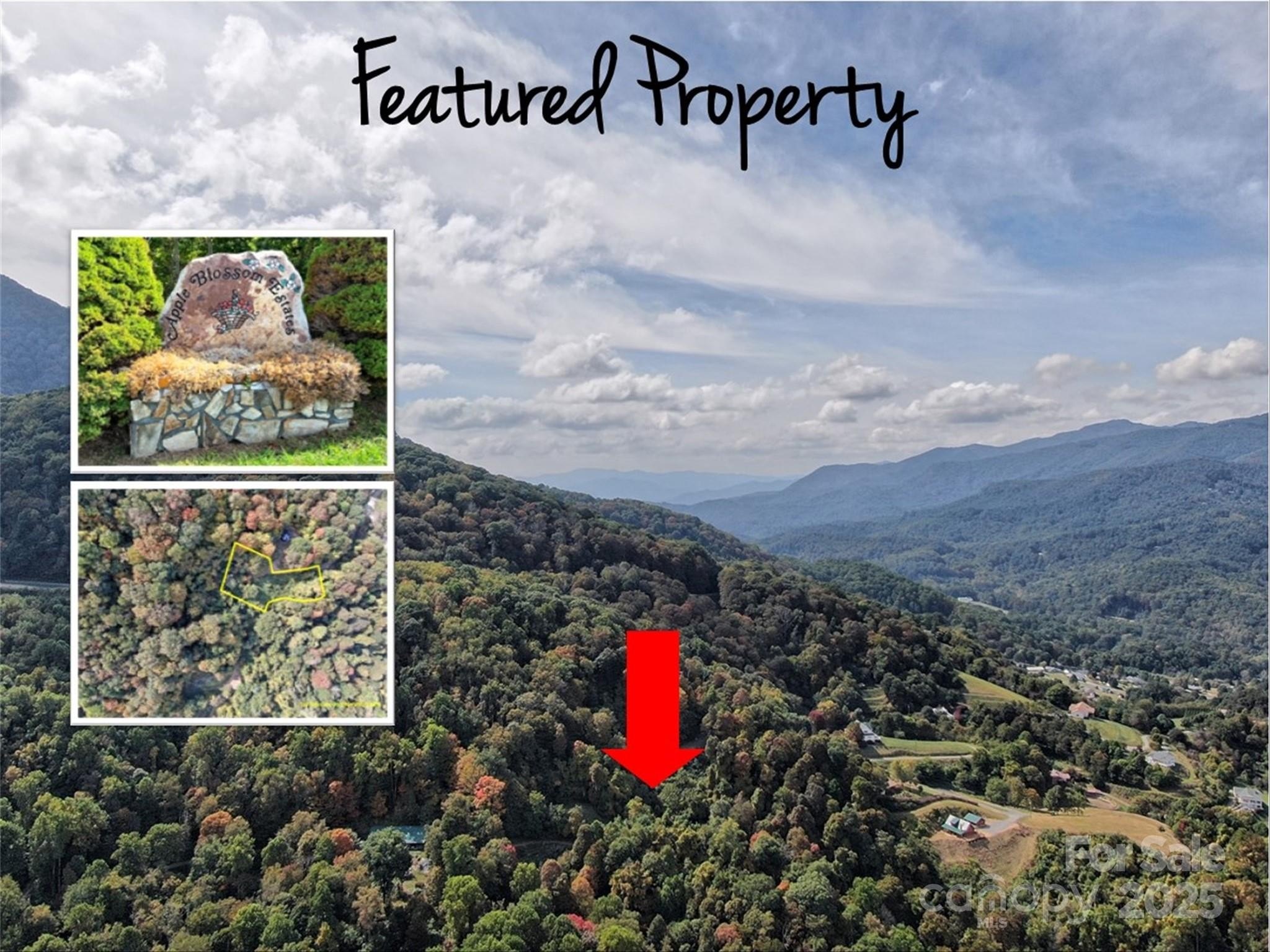 Land with Mountain Views