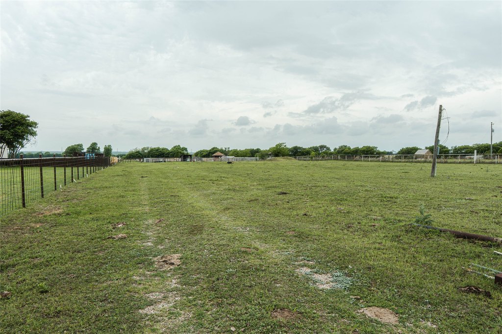 Picture 13