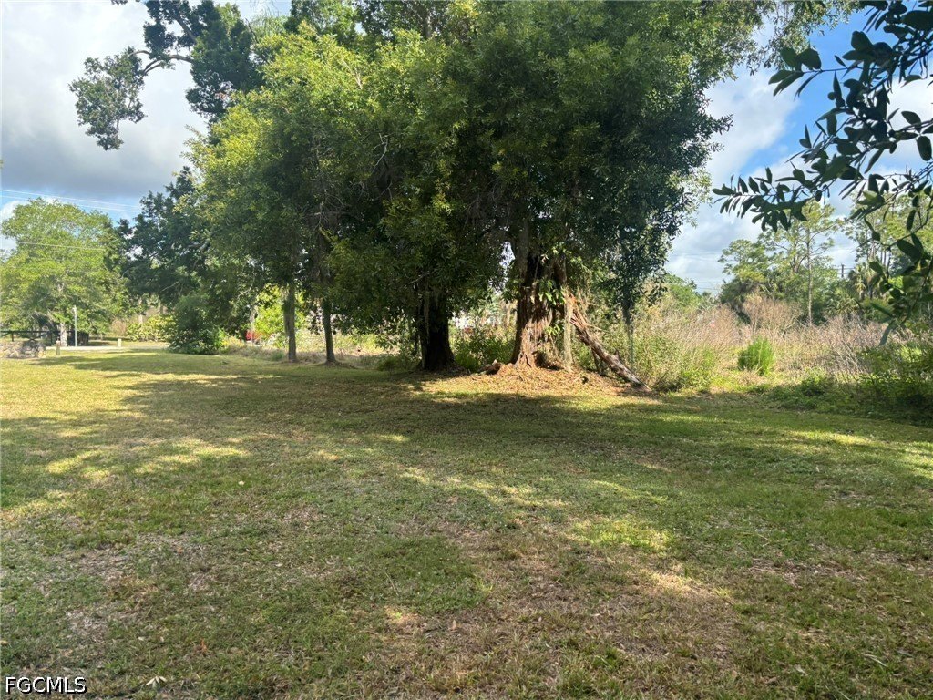 Picture 5
