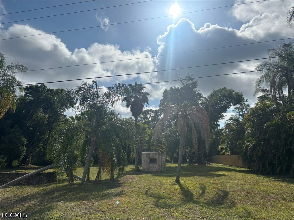 Picture 8