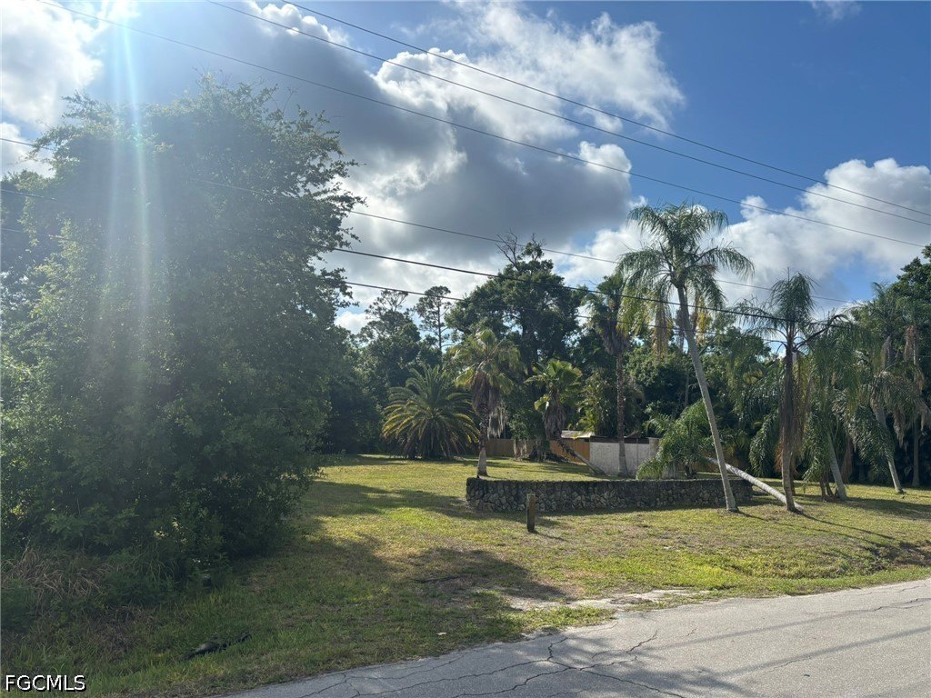 Picture 6