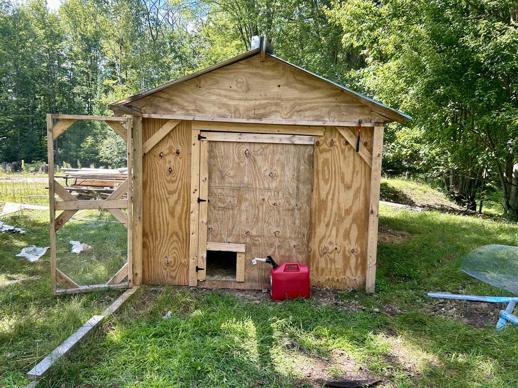 Picture 14