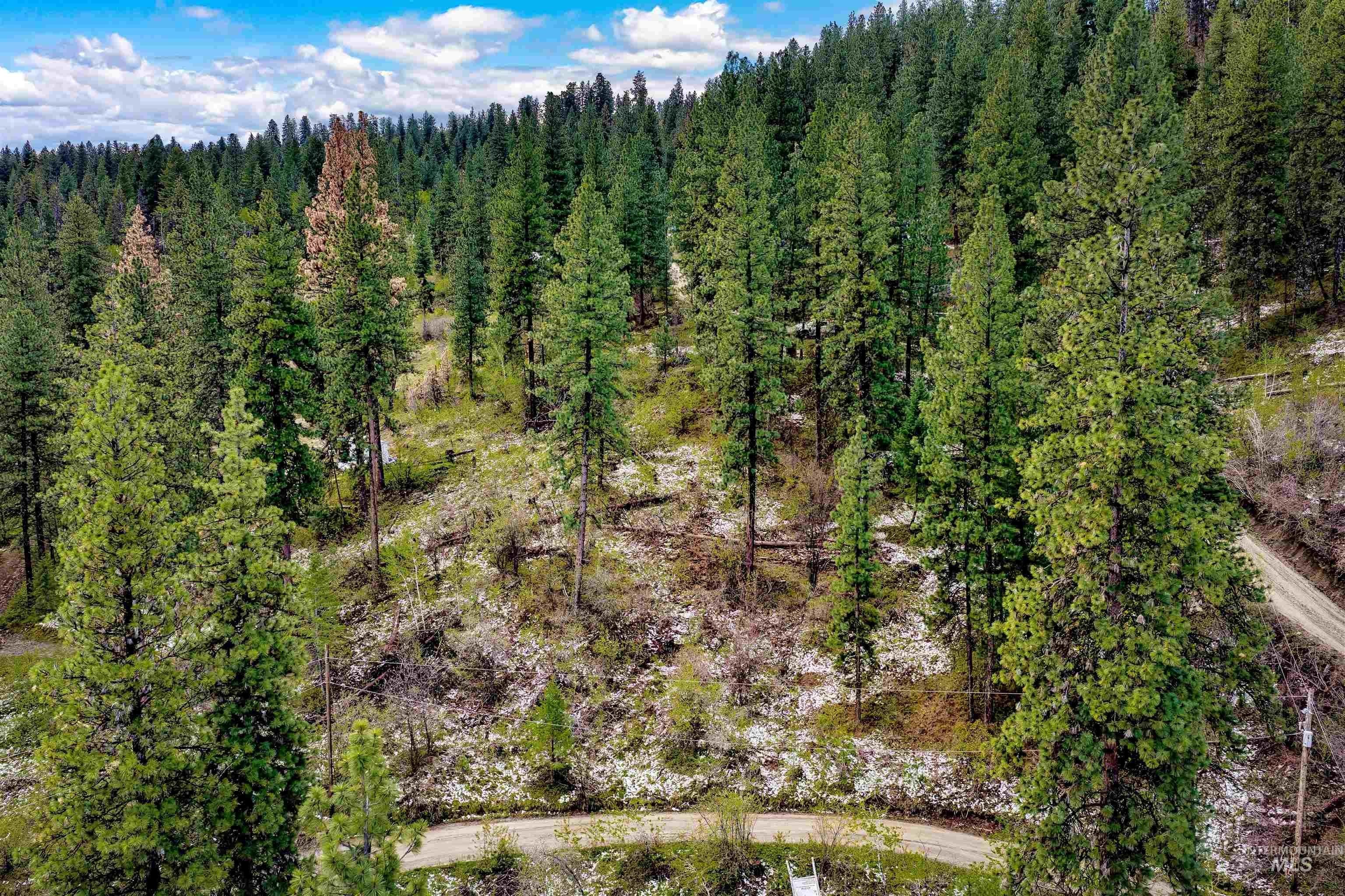 Idaho Land in Clear Creek
