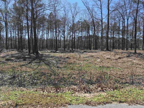 Residential Land in White Hall
