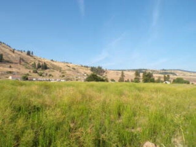 Picture 9