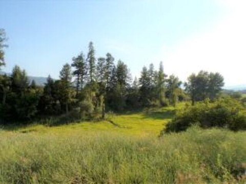 Land, KETTLE FALLS, WA
