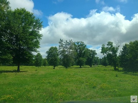 Land, Simms, TX