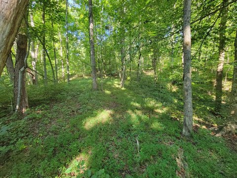 Land, Rock Island, TN