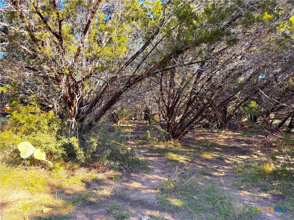 Picture 8