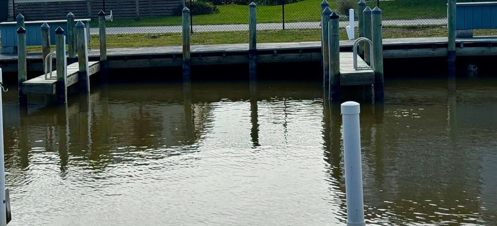 Picture 5