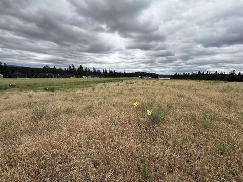 LAND - Chattaroy, WA