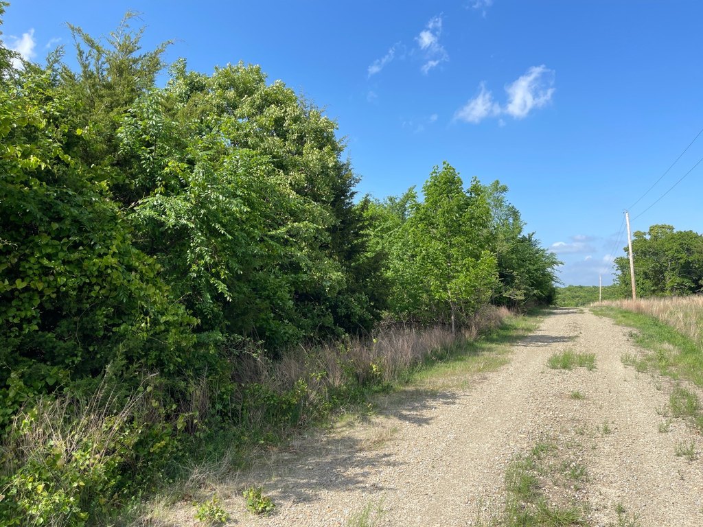 Picture 21