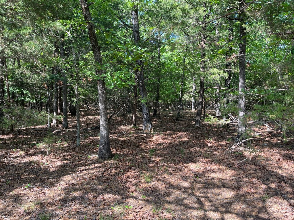 Picture 39