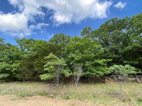 Wooded Acreage Near Lake Eufaula