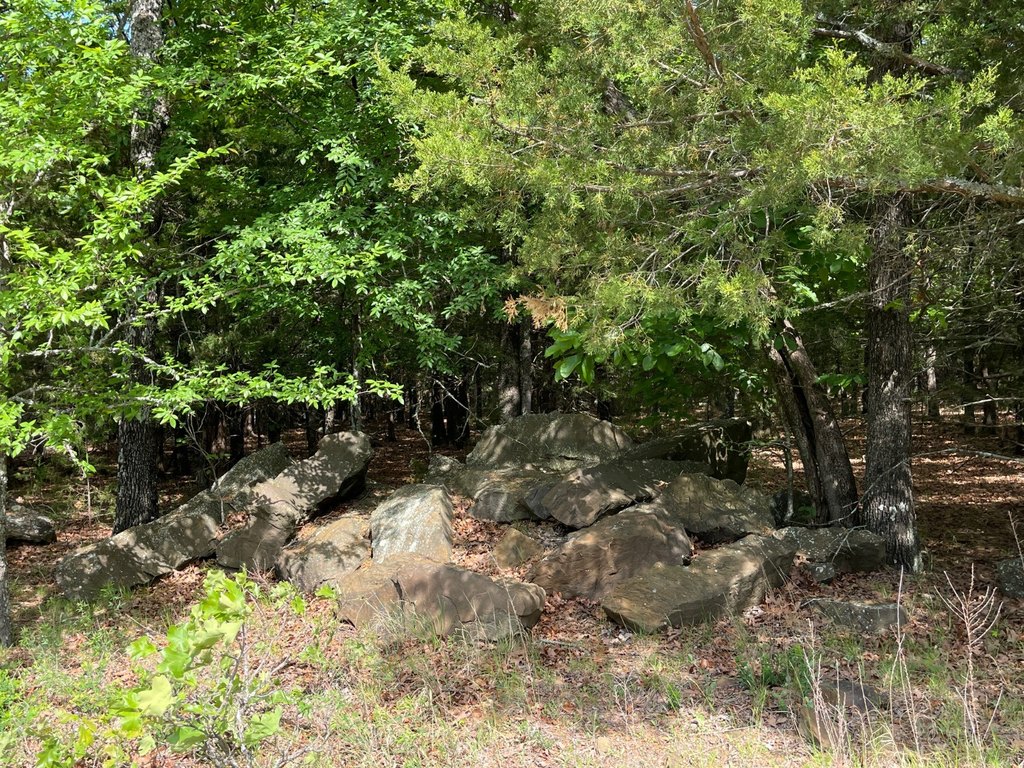 Picture 46