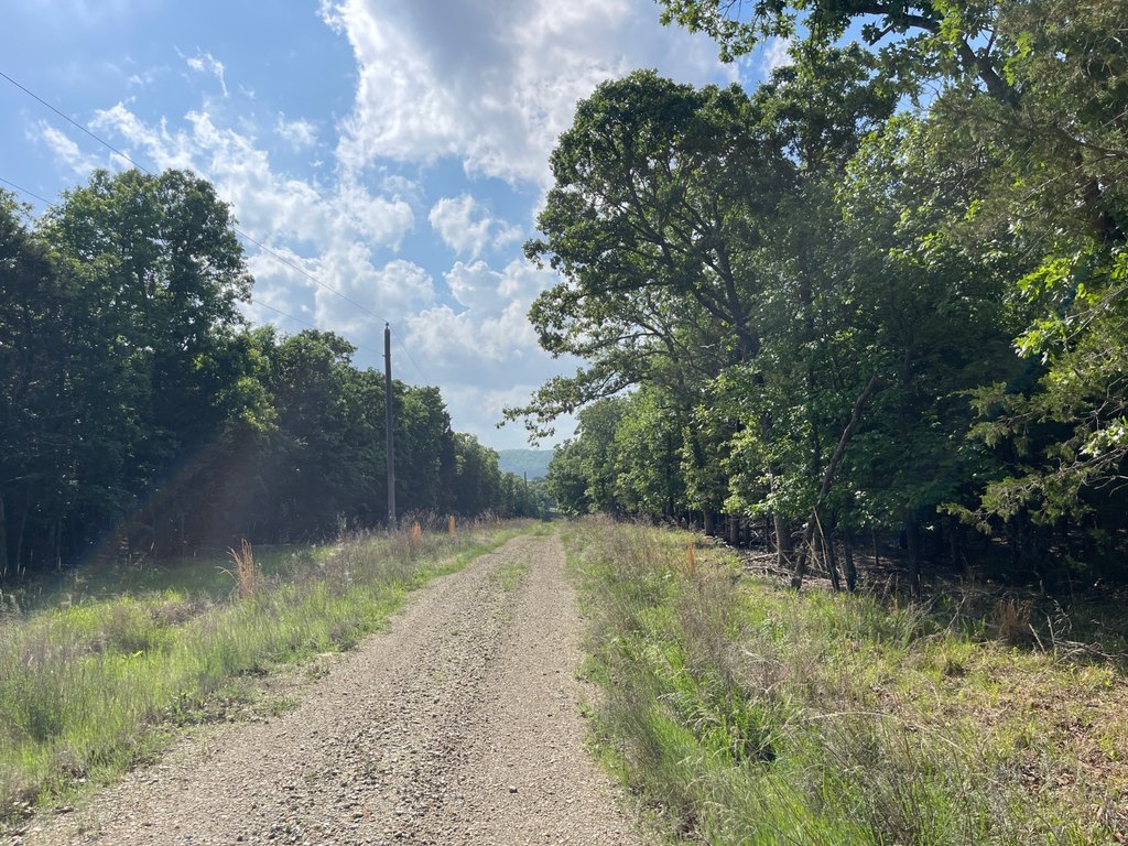 Picture 22