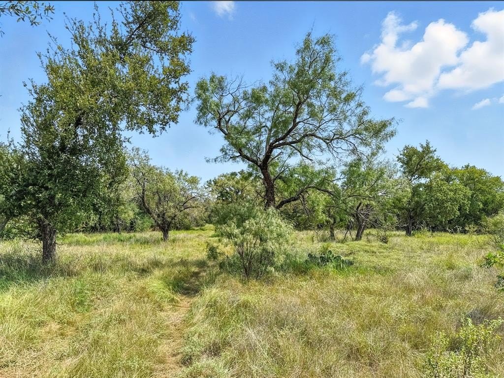 Secluded 10-Acre Land Parcel