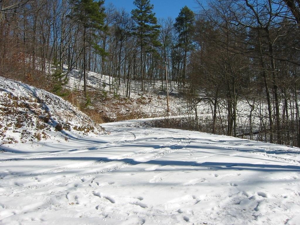 Picture 13