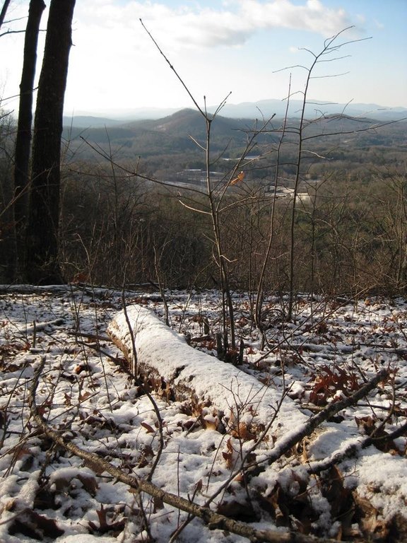 Picture 8
