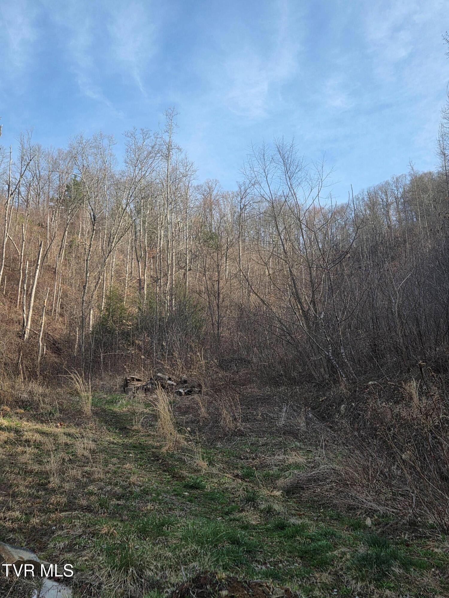 Roan Mountain Land For Sale