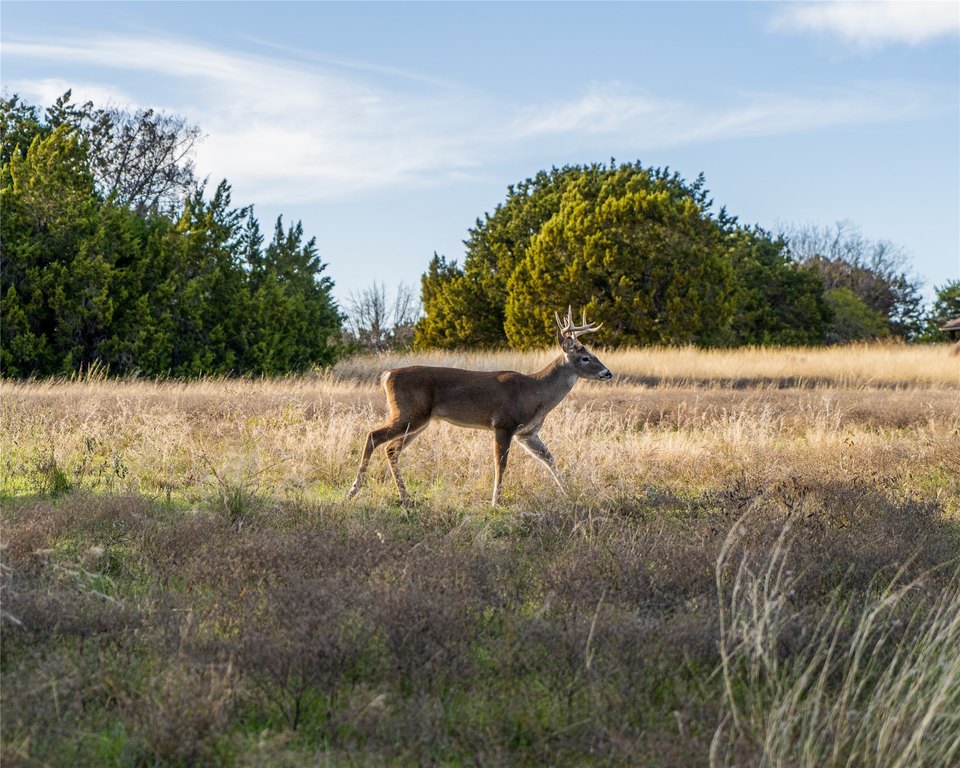 Picture 35
