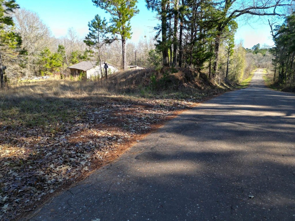 Picture 7