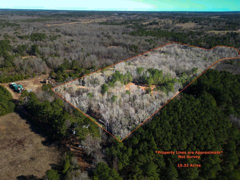Henderson, TX Land Opportunity