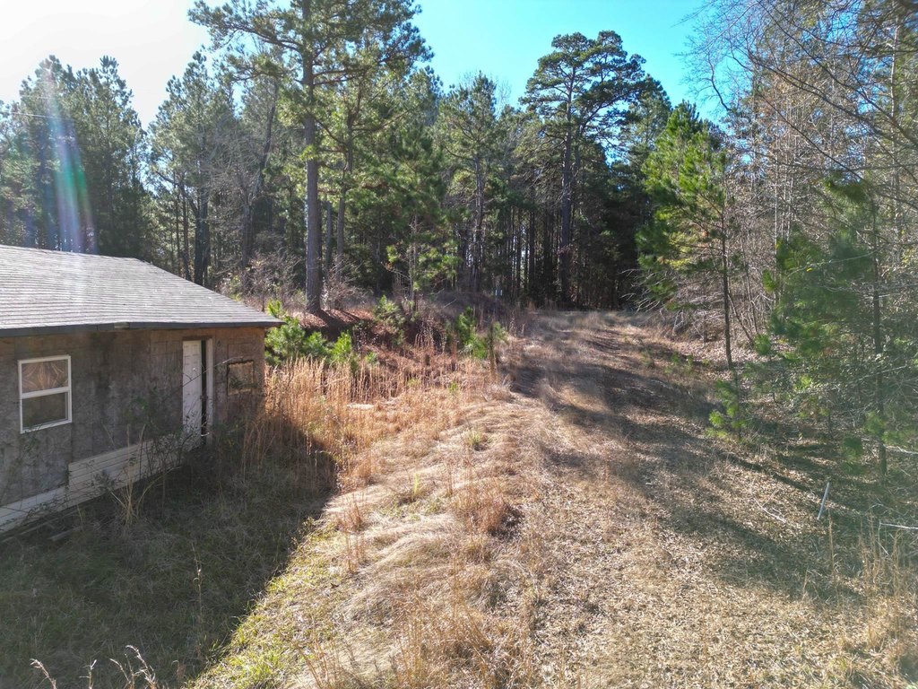 Picture 8