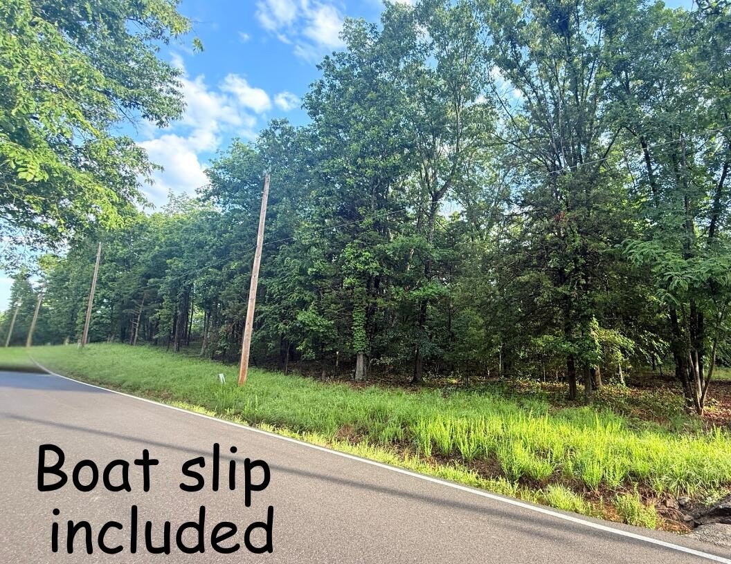 Table Rock Lake Land Parcel