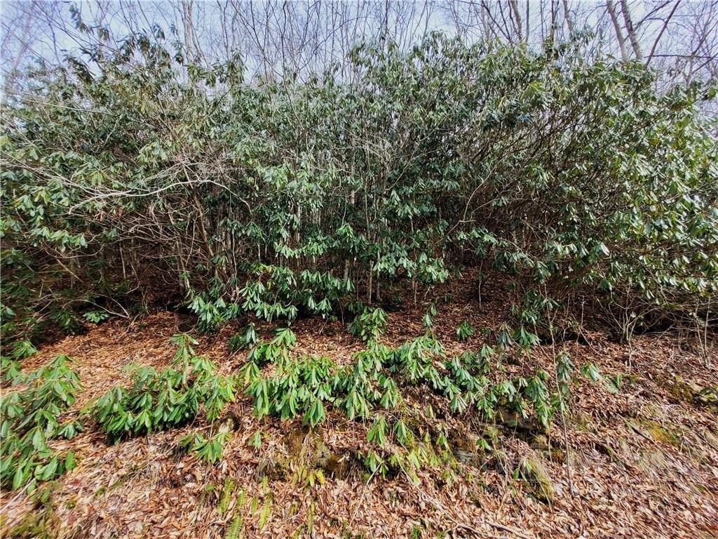 Beech Mountain Buildable Lot