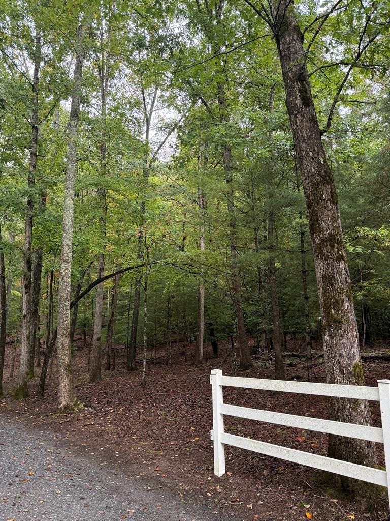 Hayesville NC Wooded Lot