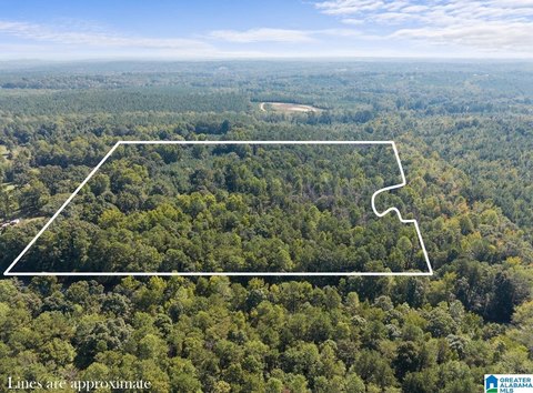 LAND/LOTS, CLANTON, AL
