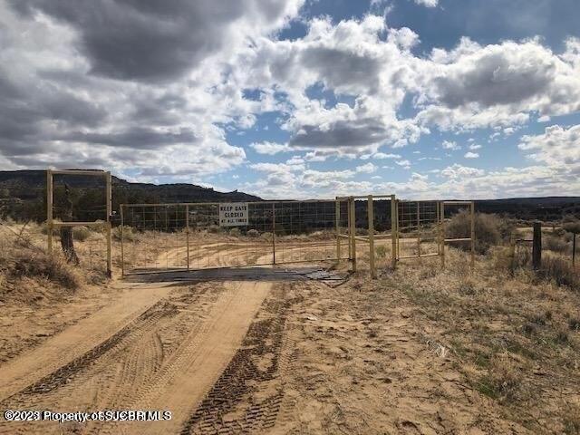 Picture 2