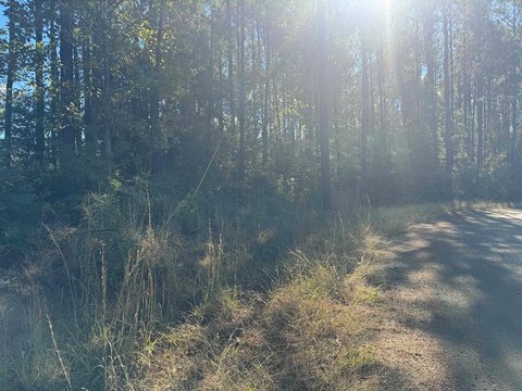 Waterfront Lot in Brookeland, TX