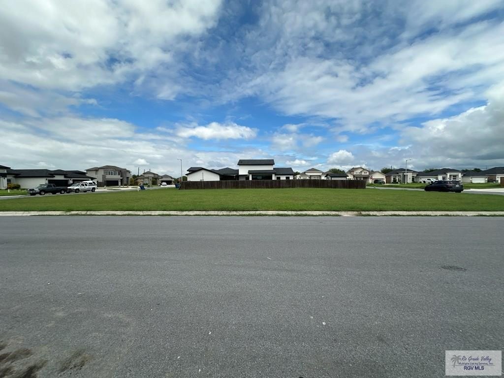 Picture 3