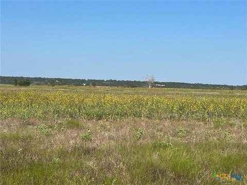 Texas Countryside 10-Acre Lot