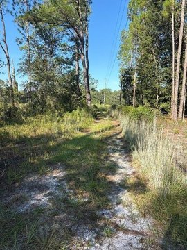 Land, BRONSON, FL