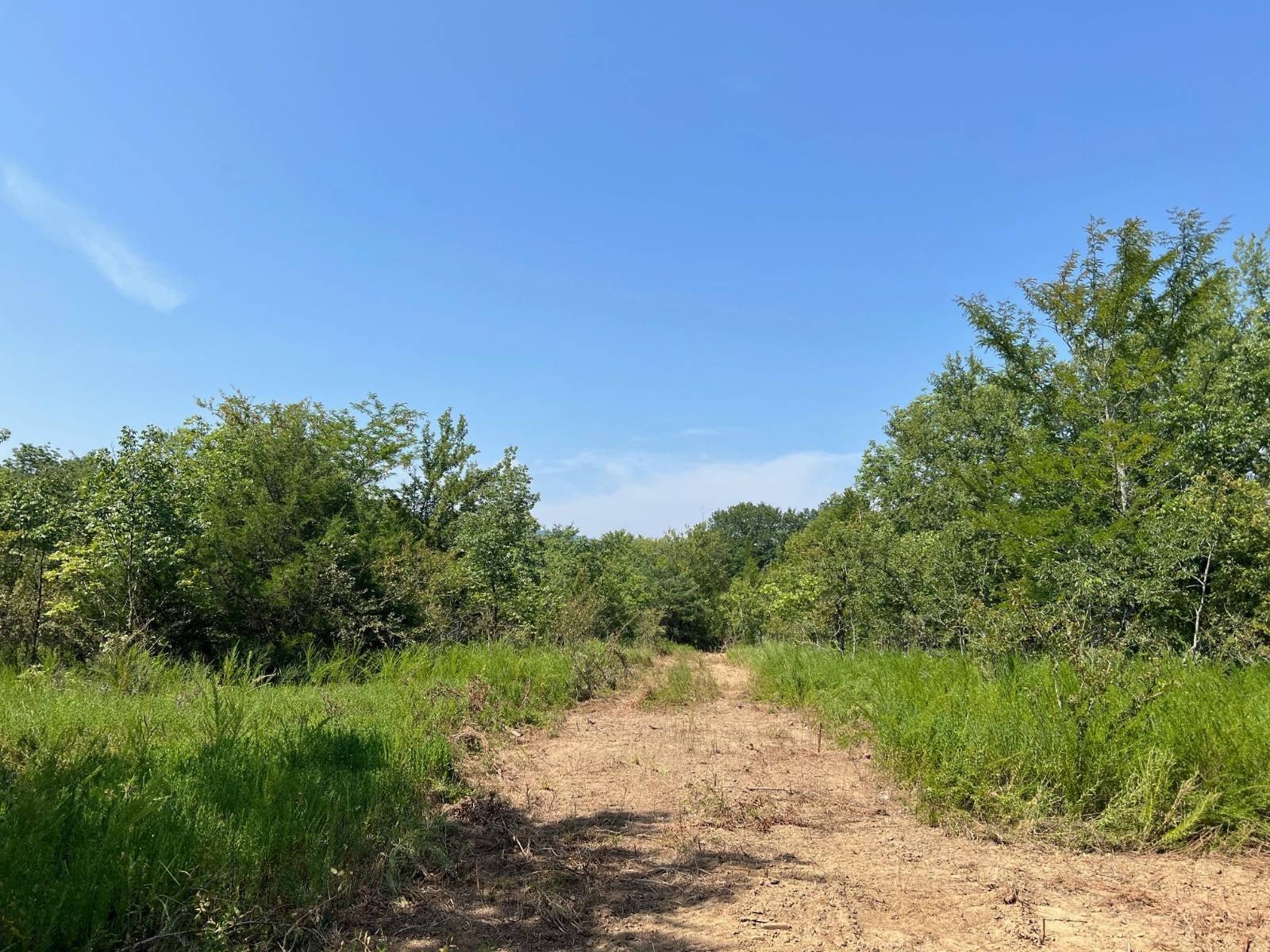 20 Acres of Vacant Land