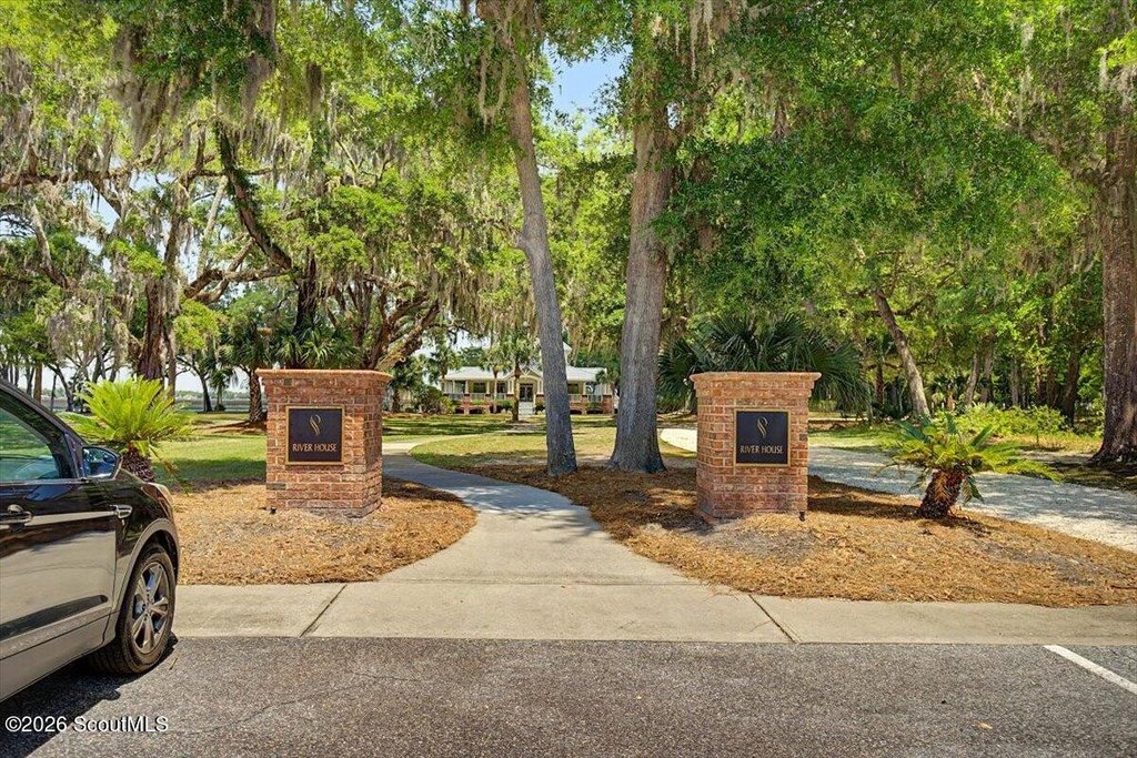 Picture 31